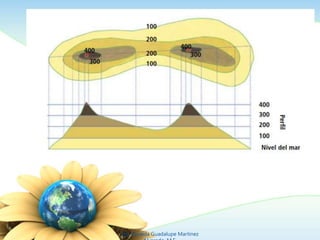 Ing. Zoraida Guadalupe Martínez 
Alvarado, M.E. 
 