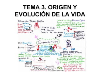 TEMA 3. ORIGEN Y 
EVOLUCIÓN DE LA VIDA 
 