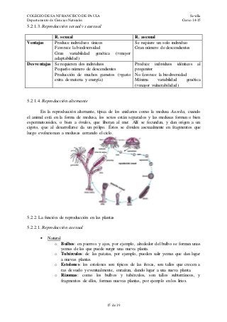 COLEGIO DE SAN FRANCISCO DE PAULA Sevilla
Departamento de Ciencias Naturales Curso 14-15
15 de 19
5.2.1.3. Reproducción sexual vs asexual
R. sexual R. asexual
Ventajas Produce individuos únicos
Favorece la biodiversidad
Gran variabilidad genética (=mayor
adaptabilidad)
Se requiere un solo individuo
Gran número de descendientes
Desventajas Se requieren dos individuos
Pequeño número de descendientes
Producción de muchos gametos (=gasto
extra de materia y energía)
Produce individuos idénticos al
progenitor
No favorece la biodiversidad
Mínima variabilidad genética
(=mayor vulnerabilidad)
5.2.1.4. Reproducción alternante
En la reproducción alternante, típica de los cnidarios como la medusa Aurelia, cuando
el animal está en la forma de medusa, los sexos están separados y las medusas forman o bien
espermatozoides, o bien a óvulos, que liberan al mar. Allí se fecundan, y dan origen a un
cigoto, que al desarrollarse da un pólipo. Éstos se dividen asexualmente en fragmentos que
luego evolucionan a medusas cerrando el ciclo.
5.2.2. La función de reproducción en las plantas
5.2.2.1. Reproducción asexual
 Natural
o Bulbos: en puerros y ajos, por ejemplo, alrededor del bulbo se forman unas
yemas de las que puede surgir una nueva planta.
o Tubérculos: de las patatas, por ejemplo, pueden salir yemas que dan lugar
a nuevas plantas.
o Estolones: los estolones son típicos de las fresas, son tallos que crecen a
ras de suelo y eventualmente, enraízan, dando lugar a una nueva planta.
o Rizomas: como los bulbos y tubérculos, son tallos subterráneos, y
fragmentos de ellos, forman nuevas plantas, por ejemplo en los lirios.
 