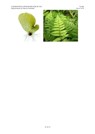 COLEGIO DE SAN FRANCISCO DE PAULA Sevilla
Departamento de Ciencias Naturales Curso 14-15
19 de 19
 