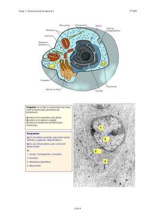 Tema 1. Estructura de la materia I 2º ESO
4 de 19
 