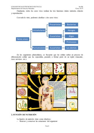 COLEGIO DE SAN FRANCISCO DE PAULA Sevilla
Departamento de Ciencias Naturales Curso 14-15
5 de 19
Finalmente, todos los seres vivos realizan las tres funciones vitales: nutrición, relación
y reproducción.
Con todo lo visto, podemos clasificar a los seres vivos:
En los organismos pluricelulares, es frecuente que las células sufran un proceso de
diferenciación celular que las especializa, pasando a formar parte de un tejido (muscular,
óseo, nervioso, etc.).
2. FUNCIÓN DE NUTRICIÓN
La función de nutrición tiene como objetivos:
- Renovar y conservar las estructuras del organismo
Seres vivos
Unicelulares
Procariotas Bacterias
Eucariotas
Hongos
Algas
Protozoos
Pluricelulares Eucariotas Los demás
 