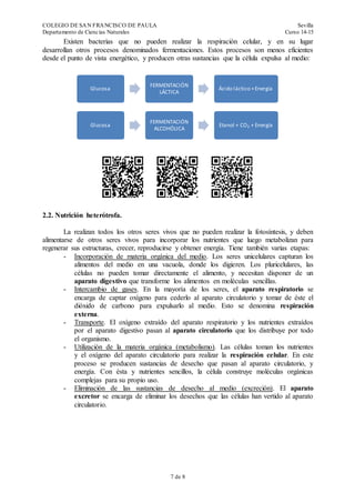 COLEGIO DE SAN FRANCISCO DE PAULA Sevilla
Departamento de Ciencias Naturales Curso 14-15
7 de 19
Existen bacterias que no pueden realizar la respiración celular, y en su lugar
desarrollan otros procesos denominados fermentaciones. Estos procesos son menos eficientes
desde el punto de vista energético, y producen otras sustancias que la célula expulsa al medio:
2.2. Nutrición heterótrofa.
La realizan todos los otros seres vivos que no pueden realizar la fotosíntesis, y deben
alimentarse de otros seres vivos para incorporar los nutrientes que luego metabolizan para
regenerar sus estructuras, crecer, reproducirse y obtener energía. Tiene también varias etapas:
- Incorporación de materia orgánica del medio. Los seres unicelulares capturan los
alimentos del medio en una vacuola, donde los digieren. Los pluricelulares, las
células no pueden tomar directamente el alimento, y necesitan disponer de un
aparato digestivo que transforme los alimentos en moléculas sencillas.
- Intercambio de gases. En la mayoría de los seres, el aparato respiratorio se
encarga de captar oxígeno para cederlo al aparato circulatorio y tomar de éste el
dióxido de carbono para expulsarlo al medio. Esto se denomina respiración
externa.
- Transporte. El oxígeno extraído del aparato respiratorio y los nutrientes extraídos
por el aparato digestivo pasan al aparato circulatorio que los distribuye por todo
el organismo.
- Utilización de la materia orgánica (metabolismo). Las células toman los nutrientes
y el oxígeno del aparato circulatorio para realizar la respiración celular. En este
proceso se producen sustancias de desecho que pasan al aparato circulatorio, y
energía. Con ésta y nutrientes sencillos, la célula construye moléculas orgánicas
complejas para su propio uso.
- Eliminación de las sustancias de desecho al medio (excreción). El aparato
excretor se encarga de eliminar los desechos que las células han vertido al aparato
circulatorio.
Glucosa
FERMENTACIÓN
LÁCTICA
Ácido láctico +Energía
Glucosa
FERMENTACIÓN
ALCOHÓLICA
Etanol + CO2 + Energía
 