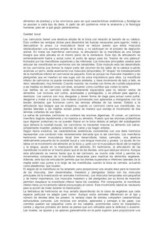 alimentan de plantas) y a los omnívoros para ver qué características anatómicas y fisiológicas
se asocian a cada tipo de dieta. A partir de ahí podremos mirar la anatomía y la fisiología
humanas para ver a qué grupo pertenecemos.
Cavidad bucal
Los carnívoros tienen una abertura amplia de la boca con relación al tamaño de su cabeza.
Esto confiere las ventajas obvias para desarrollar las fuerzas necesarias para agarrar, matar y
descuartizar la presa. La musculatura facial se reduce puesto que estos músculos
obstaculizarían una apertura amplia de la boca, y no participan en el proceso de deglución
animal. En todos los mamíferos carnívoros, la articulación de la mandíbula es una simple
bisagra que está ubicada en el mismo plano de la dentadura. Este tipo de articulación es
extremadamente fuerte y actúa como el punto de apoyo para los “brazos de una palanca”
formados por las mandíbulas superiores y las inferiores. Los músculos principales usados para
articular las mandíbulas en carnívoros son los temporales. Este músculo esta tan desarrollado
en los carnívoros que forman la mayor parte del volumen de los lados de la cabeza (cuando
acaricias un perro, estás acariciando sus músculos temporales). El “ángulo” de d esplazamiento
de la mandíbula inferior en carnívoros es pequeño. Esto es porque los músculos masetero y los
pterigoides que se insertan en ese lugar son de poca importancia para ellos. La mandíbula
inferior de carnívoros no puede moverse hacia adelante, y tiene movimiento de lado a lado, es
decir, lateralizado, muy limitado. Cuando muerde, las muelas con forma de cuchilla adyacentes
a las mejillas se deslizan unos con otras, actuando como cuchillos que cortan la carne.
Los dientes de un carnívoro están discretamente espaciados para no retener restos de
alimentos. Los incisivos son cortos, acentuadas y puntiagudos, y se utilizan para agarrar y
destrozar. Los caninos son muy alargados y tienen forma de daga para actuar como puñal,
desgarrar y matar a la presa. Los molares (carnassials) son aplanados y triangulares con los
bordes dentados que funcionan como las láminas afiladas de las sierras. Debido a la
articulación tipo bisagra que se empalma, cuando un carnívoro cierra sus mandíbulas, los
dientes laterales a las mejillas actúan juntos de manera que semeja el movimiento de dos
láminas cortantes de una tijera.
La saliva de animales carnívoros no contiene las enzimas digestivas. Al comer, un carnívoro
mamífero deglute rápidamente y no mastica su alimento. Puesto que las enzimas proteolíticas
(que digieren proteínas) no se pueden liberar en la boca debido al peligro del autodigestión
(que dañaría la cavidad bucal), los carnívoros no necesitan mezclar su alimento con saliva;
simplemente muerden pedazos enormes de carne y los tragan enteros.
Según teoría evolutiva, las características anatómicas consistentes con una dieta herbívora
representan una condición más recientemente derivada que la del carnívoro. Los mamíferos
herbívoros tienen musculatura facial bien desarrollada, labios carnudos, una abertura
relativamente pequeña de la cavidad bucal y una lengua muscular y gruesa. La ayuda de los
labios en el movimiento del alimento en la boca y, junto con la musculatura facial (de la mejilla)
y la lengua, ayuda en la masticación del alimento. En herbívoros, la articulación de las
mandíbulas no está en el mismo plano que el de los dientes, sino que está por encima. Aunque
esta articulación es menos fuerte que la del carnívoro, es mucho más móvil y permite los
movimientos complejos de la mandíbula necesarios para masticar los alimentos vegetales.
Además, este tipo de articulación permite que los dientes superiores e inferiores laterales de la
mejilla estén casi juntos a lo largo de las mandíbulas cuando la boca es cerrada, ac tuando
como plataformas que muelen.
El ángulo de la mandíbula se ha ampliado para proporcionar una amplia área para la inserción
de los músculos, bien desarrollados, masetero y pterigoideo (éstos son los músculos
principales de la masticación en animales herbívoros). Los músculos temporales son pequeños
y de menor importancia. Los músculos masetero y del pterigoideo por su forma de inserción
permiten desplazar la mandíbula inferior hacia los costados. Por consiguiente, la mandíbula
inferior tiene un movimiento lateral pronunciado al comer. Este movimiento lateral es necesario
para la acción de moler durante la masticación.
La dentadura de herbívoros es muy variada dependiendo de la clase de vegetales que cada
especie particular se adapte para comer. Aunque estos animales diferencian en el tipo y
número de dientes ellos los poseen, la variada clase de dientes comparten características
estructurales comunes. Los incisivos son amplios, aplanados y semejan a las palas. Los
colmillos pueden ser pequeños como en los caballos, prominentes como en hipopótamo,
cerdos y algunos primates (en éstos se piensa que son utilizados para la defensa) o ausente.
Las muelas, se ajustan y se aplanan generalmente en la parte superior para proporcionar una
 