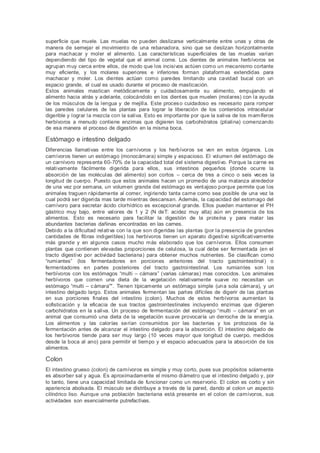 superficie que muele. Las muelas no pueden deslizarse verticalmente entre unas y otras de
manera de semejar el movimiento de una rebanadora, sino que se deslizan horizontalmente
para machacar y moler el alimento. Las características superficiales de las muelas varían
dependiendo del tipo de vegetal que el animal come. Los dientes de animales herbívoros se
agrupan muy cerca entre ellos, de modo que los incisivos actúen como un mecanismo cortante
muy eficiente, y los molares superiores e inferiores forman plataformas extendidas para
machacar y moler. Los dientes actúan como paredes limitando una cavidad bucal con un
espacio grande, el cual es usado durante el proceso de masticación.
Estos animales mastican metódicamente y cuidadosamente su alimento, empujando el
alimento hacia atrás y adelante, colocándolo en los dientes que muelen (molares) con la ayuda
de los músculos de la lengua y de mejilla. Este proceso cuidadoso es necesario para romper
las paredes celulares de las plantas para lograr la liberación de los contenidos intracelular
digerible y lograr la mezcla con la saliva. Esto es importante por que la saliva de los mamíferos
herbívoros a menudo contiene enzimas que digieren los carbohidratos (ptialina) comenzando
de esa manera el proceso de digestión en la misma boca.
Estómago e intestino delgado
Diferencias llamativas entre los carnívoros y los herbívoros se ven en estos órganos. Los
carnívoros tienen un estómago (monocámara) simple y espacioso. El volumen del estómago de
un carnívoro representa 60-70% de la capacidad total del sistema digestivo. Porque la carne es
relativamente fácilmente digerida para ellos, sus intestinos pequeños (donde ocurre la
absorción de las moléculas del alimento) son cortos – cerca de tres a cinco o seis veces la
longitud de cuerpo. Puesto que estos animales hacen un promedio de una matanza alrededor
de una vez por semana, un volumen grande del estómago es ventajoso porque permite que los
animales traguen rápidamente al comer, ingiriendo tanta carne como sea posible de una vez la
cual podrá ser digerida mas tarde mientras descansan. Además, la capacidad del estomago del
carnívoro para secretar ácido clorhídrico es excepcional grande. Ellos pueden mantener el PH
gástrico muy bajo, entre valores de 1 y 2 (N deT: acidez muy alta) aún en presencia de los
alimentos. Esto es necesario para facilitar la digestión de la proteína y para matar las
abundantes bacterias dañinas encontradas en las carnes.
Debido a la dificultad relativa con la que son digeridas las plantas (por la presencia de grandes
cantidades de fibras indigeribles) los herbívoros tienen un aparato digestivo significativamente
más grande y en algunos casos mucho más elaborado que los carnívoros. Ellos consumen
plantas que contienen elevadas proporciones de celulosa, la cual debe ser fermentada (en el
tracto digestivo por actividad bacteriana) para obtener muchos nutrientes. Se clasifican como
“rumiantes” (los fermentadores en porciones anteriores del tracto gastrointestinal) o
fermentadores en partes posteriores del tracto gastrointestinal. Los rumiantes son los
herbívoros con los estómagos “multi – cámara” (varias cámaras) mas conocidos. Los animales
herbívoros que comen una dieta de la vegetación relativamente suave no necesitan un
estómago “multi – cámara”". Tienen típicamente un estómago simple (una sola cámara), y un
intestino delgado largo. Estos animales fermentan las partes difíciles de digerir de las plantas
en sus porciones finales del intestino (colon). Muchos de estos herbívoros aumentan la
sofisticación y la eficacia de sus tractos gastrointestinales incluyendo enzimas que digieren
carbohidratos en la saliva. Un proceso de fermentación del estómago “multi – cámara” en un
animal que consumió una dieta de la vegetación suave provocaría un derroche de la energía.
Los alimentos y las calorías serían consumidos por las bacterias y los protozoos de la
fermentación antes de alcanzar el intestino delgado para la absorción. El intestino delgado de
los herbívoros tiende para ser muy largo (10 veces mayor que longitud de cuerpo, medidos
desde la boca al ano) para permitir el tiempo y el espacio adecuados para la absorción de los
alimentos.
Colon
El intestino grueso (colon) de carnívoros es simple y muy corto, pues sus propósitos solamente
es absorber sal y agua. Es aproximadamente el mismo diámetro que el intestino delgado y, por
lo tanto, tiene una capacidad limitada de funcionar como un reservorio. El colon es corto y sin
apariencia abolsada. El músculo se distribuye a través de la pared, dando al colon un aspecto
cilíndrico liso. Aunque una población bacteriana está presente en el colon de carnívoros, sus
actividades son esencialmente putrefactivas.
 