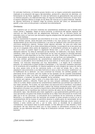 En animales herbívoros, el intestino grueso tiende a ser un órgano sumamente especializado
implicado en la absorción del agua y del electrolitos, producción y absorción de vitaminas, y/o
fermentación de las fibras vegetales. El colon de herbívoros es generalmente más ancho que
su intestino pequeño y es relativamente largo. En algunos mamíferos herbívoros, el colon tiene
el aspecto abolsado debido al arreglo de las fibras del músculo en la pared intestinal. Además,
en algunos herbívoros el intestino ciego (la primera sección del colon) es absolutamente
grande y sirve como el sitio primario o accesorio de la fermentación.
Omnívoros
Uno esperaría que un omnívoro mostrara las características anatómicas que lo facilita para
comer carnes y vegetales. Según la teoría evolutiva, la estructura del aparato digestivo del
carnívoro es más primitiva que las adaptaciones herbívoras. Así, un omnívoro podría ser
entendido como un carnívoro que demuestra algunas adaptaciones del aparato gastrointestinal
a una dieta herbívora.
Éste es exactamente la situación que encontramos en el oso, el mapache y ciertos miembros
de las familias caninas. (Esta discusión será limitada a los osos porque son, generalmente,
representantes de los omnívoros anatómicos.) Los osos se clasifican como carnívoros pero son
omnívoros anatómicos clásicos. Aunque comen algunos animales, los osos son sobre todo
herbívoros con 70-80% de su dieta comprendida por plantas. (La excepción es el oso polar que
vive en el congelado ártico pobre de vegetación y la alimentación primaria es la grasa de la
foca.) Los osos no pueden digerir la vegetación fibrosa bien, y por lo tanto, su alimento es
altamente selectivo. Su dieta es dominada por las hierbas, los tubérculos y las bayas. Muchos
científicos creen que la razón de la hibernación de los osos es porque su principal alimento
(vegetación) no está disponible en los fríos inviernos del norte. (Obsérvese que la hibernac ión
de los osos polares es durante los meses del verano en que las focas son inasequibles.)
Los osos exhiben generalmente las características anatómicas coherentes con una dieta
carnívora. La articulación de la mandíbula de los osos está en el mismo plano que los dientes
molares. Los músculos temporales son muy desarrollados, y el ángulo de la mandíbula,
pequeño, se corresponde al papel limitado el pterigoideo, y los músculos maseteros participan
en el movimiento de la mandíbula. El intestino pequeño es corto (longitud de cuerpo de menos
de cinco veces) como el de los carnívoros puros, y el colon es simple, liso y corto. La
adaptación más prominente a una dieta herbívora en osos (y otros omnívoros “anatómicos”) es
la modificación de su dentición. Los osos conservan los incisivos, los colmillos grandes y los
premolares de los carnívoros; pero las muelas se han ajustado con las cúspides redondeadas
para machacar y moler. Los osos, sin embargo, no han adoptado las uñas características de
los herbívoros y conservan las garras alargadas de los carnívoros.
Un animal que captura, mata y come a la presa debe tener el equipo físico que hace a la
depredación práctica y eficiente. Puesto que los osos incluyen cantidades significativas de
carne en su dieta, deben conservar las características anatómicas que permiten que capturen y
que maten animales. Por lo tanto, los osos tienen una estructura de la mandíbula, musculatura
y la dentición que les permiten desarrollar y aplicar las fuerzas necesarias para matar y para
descuartizar a la presa, aun cuando la mayoría de su dieta está basada de plantas. El oso tiene
una articulación de la mandíbula tipo herbívoro (encima del plano de los dientes) que es una
articulación, lejos, más eficiente para moler vegetación y que potencialmente permitiría que los
osos aprovechar una gama más amplia de plantas en su dieta. Esta articulación es mucho más
débil que la de los carnívoros. La articulación de la mandíbula de los herbívoros se disloca
fácilmente y no soportaría bien las tensiones de someter la presa durante la lucha y/o en el
quebrantamiento de los huesos (ni permitiría alcanzar la amplia gama de necesidades de los
carnívoros). En la vida salvaje, un animal con una mandíbula dislocada pronto moriría de
hambre o sería comido por otro y, por lo tanto, sería un resultado de la adaptación
contradictoria. Una especie dada no puede adoptar, la más débil pero la más eficiente y móvil
articulación del tipo herbívoro hasta que no haya basado su alimentación primaria en las
plantas, ya que realmente estaría en riesgo de la dislocación articular, muerte y finalmente la
extinción.
¿Qué somos nosotros?
 
