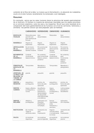 contenido de la fibra de la dieta. La manera que la fermentación y la absorción de metabolitos
ocurre en el colon humano recientemente ha comenzado a ser investigado.
Resumen
En conclusión, vemos que los seres humanos tienen la estructura del aparato gastrointestinal
de un herbívoro. El Humano no muestra las estructuras mezcladas que uno espera encontrara
en un omnívoro anatómico, como los osos y los mapaches. De ahí que como resultado de la
comparación del tracto gastrointestinal de los humanos con el de los carnívoros, herbívoros y
omnívoros nos permite concluir que está preparado para ser herbívoro.
CARNÍVORO HERBÍVORO OMNÍVORO HUMANOS
MUSCULOS
FACIALES
Reducidos para
permitir una
gran apertura de
la boca
bien
desarrollados
Reducidos bien
desarrollados
MANDÍBULA Angulo no
expandido
Angulo
expandido
Angulo no
expandido
Angulo
expandido
ARTICULACIÓN
DE LA
MANDÍBULA
En el mismo
plano que los
dientes molares
Por encima del
plano de los
molares
En el mismo
plano que los
dientes
molares
Por encima
del plano de
los molares
MOVIMIENTOS
DE LA
MANDÍBULA
Cortante
movimiento
lateral mínimo
No cortante y
gran movimiento
lateral y antero-
posterior
Cortante
movimiento
lateral mínimo
No cortante y
gran
movimiento
lateral y
antero-
posterior
PRINCIPALES
MÚSCULOS DE
LA
MANDIBULA
Temporales Maseteros y
pterigóideos
Temporales Maseteros y
pterigóideos
APERTURA DE
LA BOCA CON
RELACIÓN AL
TAMAÑO DE
LA CABEZA
grande pequeña grande pequeña
DIENTES –
INCISIVOS
pequeños y
puntiagudos
anchos, de
forma de pala
aplanada
pequeños y
puntiagudos
anchos,de
forma de pala
aplanada
DIENTES –
CANINOS
largos,afilados,
puntiagudos y
curvos
desafilados,
pueden ser
pequeños a
desarrollados.
Su desarrollo
está relacionado
a la defensa
largos,
afilados,
puntiagudos y
curvos
rudimentarios:
pequeños y
desafilados
DIENTES –
MOLARES
afilados y
puntiagudos
aplanados con
cúspides.
Superficies
complejas.
formas
intermedias
entre
herbívoros y
carnívoro
aplanados
con cúspides
MASTICACIÓN No mastica.
Traga el
alimento entero
necesaria una
gran
masticación
traga la
comida entera
o simplemente
la rompe
necesaria una
gran
masticación
SALIVA sin enzimas
digestivas
con enzimas
para la digestión
sin enzimas
digestivas
con enzimas
para la
 