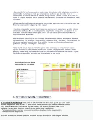 • La evolución ha hecho que nuestras preferencias alimentarias están adaptadas para obtener
determinados nutrientes de modo que tenemos más apetencia por alimentos ricos en
determinadas sustancias difíciles de obtener. Nos gustan los sabores u olores de la carne, la
grasa, la sal y los alimentos dulces (proteínas de alta calidad, nutrientes muy energéticos, sales
minerales...
• El alimento habitual tenía otras sustancias no nutritivas pero que nos son necesarias para que
funcione nuestro sistema digestivo : fibra vegetal.
•Nuestros antepasados lejanos, los primates eran estrictamente vegetarianos y sobre todo se
alimentaban de frutas. En un periodo posterior los primates consiguieron una porción de su
dieta de la carne de caza o carroña pero parece ser que la dieta principal siempre ha sido
mayoritariamente vegetariana
• Recientemente (neolítico) se han explotado mayoritariamente fuentes alimentarias derivadas
de la agricultura y la ganadería, especialmente cereales y leche y derivados. Combinaciones de
alimentos vegetales fueron la base de la nutrición humana en diferentes culturas (trigo-
garbanzos y lentejas. maíz-frijoles . arroz-soja)
•En el mundo actual (rico) los nutrientes ya no están limitados y se consumen en exceso
algunos alimentos que en grandes proporciones pueden ser perjudiciales. Sabores, olores,
formas y colores eran importantes en el pasado para identificar alimentos adecuados y siguen
haciéndonos apetecibles alimentos que en ocasiones no son sanos
5. ALTERACIONESNUTRICIONALES
1. ESCASEZ DE ALIMENTOS: Una parte de la humanidad está desnutrida, puede que unos 1.000
millones de personas en el mundo. La desnutrición puede producirse por falta de alimentos básicos
o por falta de determinados nutrientes. En la actualidad hay alimento suficiente para toda la
población humana pero el acceso a los alimentos puede verse impedido por:
- Factores geopolíticos: guerras, persecuciones étnicas, desplazamientos de población...
- Factores sociales: marginación.
-Factores económicos: muchas personas no tienen recursos económicos para comprar alimentos.
.
 