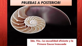 PRUEBAS A POSTERIORI
2da. Vía.- La causalidad eficiente y la
Primera Causa Incausada
 