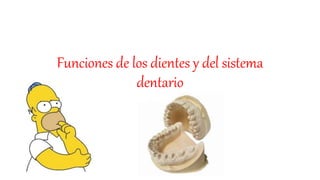 Funciones de los dientes y del sistema
dentario
 