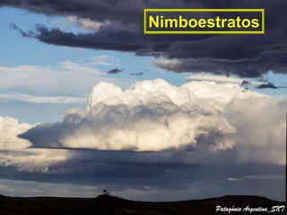 Nimboestratos
 