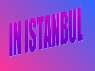 IN ISTANBUL
