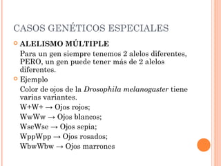 CASOS GENÉTICOS ESPECIALES
 ALELISMO MÚLTIPLE
Para un gen siempre tenemos 2 alelos diferentes,
PERO, un gen puede tener más de 2 alelos
diferentes.
 Ejemplo
Color de ojos de la Drosophila melanogaster tiene
varias variantes.
W+W+ → Ojos rojos;
WwWw → Ojos blancos;
WseWse → Ojos sepia;
WppWpp → Ojos rosados;
WbwWbw → Ojos marrones
 