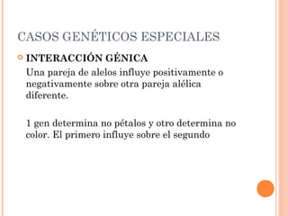CASOS GENÉTICOS ESPECIALES
 INTERACCIÓN GÉNICA
Una pareja de alelos influye positivamente o
negativamente sobre otra pareja alélica
diferente.
1 gen determina no pétalos y otro determina no
color. El primero influye sobre el segundo
 
