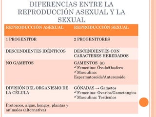 DIFERENCIAS ENTRE LA
REPRODUCCIÓN ASEXUAL Y LA
SEXUAL
REPRODUCCIÓN ASEXUAL REPRODUCCIÓN SEXUAL
1 PROGENITOR 2 PROGENITORES
DESCENDIENTES IDÉNTICOS DESCENDIENTES CON
CARACTERES HEREDADOS
NO GAMETOS GAMENTOS (n)
Femenino: Óvulo/Oosfera
Masculino:
Espermatozoide/Anterozoide
DIVISIÓN DEL ORGANISMO DE
LA CÉLULA
GÓNADAS → Gametos
Femenina: Ovarios/Gametangios
Masculina: Testículos
Protozoos, algas, hongos, plantas y
animales (alternativa)
 
