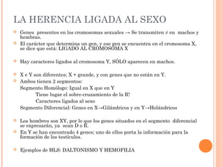 LA HERENCIA LIGADA AL SEXO
 Genes presentes en los cromosomas sexuales → Se transmiten ≠ en machos y
hembras.
 El carácter que determina un gen, y ese gen se encuentra en el cromosoma X,
se dice que está: LIGADO AL CROMOSOMA X
 Hay caracteres ligados al cromosoma Y, SÓLO aparecen en machos.
 X e Y son diferentes; X + grande, y con genes que no están en Y.
 Ambos tienen 2 segmentos:
Segmento Homólogo: Igual en X que en Y
Tiene lugar el sobre-cruzamiento de la R!
Caracteres ligados al sexo
Segmento Diferencial: Genes en X→Gilándricos y en Y→Holándricos
 Los hombres son XY, por lo que los genes situados en el segmento diferencial
se expresarán, ya sean D o R.
 En Y se han encontrado 4 genes; uno de ellos porta la información para la
formación de los testículos.
 Ejemplos de HLS: DALTONISMO Y HEMOFILIA
 