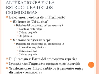 ALTERACIONES EN LA
ESTRUCTURA DE LOS
CROMOSOMAS
 Deleciones: Pérdida de un fragmento
 Síndrome de “Cri-du-chat”
 Deleción del brazo corto del cromosoma 5
 Llanto característico
 Cráneo pequeño
 Oligofrenia
 Síndrome de “Boca de carpa”
 Deleción del brazo corto del cromosoma 18
 Anomalías esqueléticas
 Retraso mental
 Cráneo pequeño
 Duplicaciones: Parte del cromosoma repetida
 Inversiones: Fragmento cromosómico invertido
 Traslocaciones: Intercambio de fragmentos entre
distintos cromosomas
 