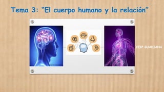 Tema 3: “El cuerpo humano y la relación”
CEIP GUADIANA
 