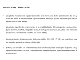 EFECTOS SOBRE LA VEGETACIÓN
• Las plantas muestran una especial sensibilidad a la mayor parte de los contaminantes del aire y
sufren los daños a concentraciones significativamente más bajas que las necesarias para causar
efectos sobre la salud humana
• Los efectos dependen del contaminante y de la sensibilidad de las diferentes plantas a su exposición.
Ej. las coníferas, la alfalfa, el algodón, la soja, la lechuga, las espinacas, las judías, y los manzanos
son especies particularmente sensibles a la acción del SO2
• Los contaminantes de carácter ácido fácilmente solubles (SO2, HCI, HF, NOx) son muy tóxicos para
los vegetales, atacando la estructura de las hojas
• El flúor y sus derivados son contaminantes que se caracterizan por ser tóxicos para las plantas a muy
bajas concentraciones. Las viñas y las plantaciones frutales son plantas especialmente sensibles a la
acción del flúor
 