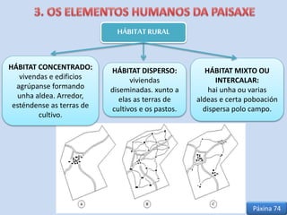 HÁBITATRURAL
HÁBITAT DISPERSO:
viviendas
diseminadas. xunto a
elas as terras de
cultivos e os pastos.
HÁBITAT MIXTO OU
INTERCALAR:
hai unha ou varias
aldeas e certa poboación
dispersa polo campo.
HÁBITAT CONCENTRADO:
vivendas e edificios
agrúpanse formando
unha aldea. Arredor,
esténdense as terras de
cultivo.
Páxina 74
 