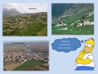 DISPERSO MIXTO
CONCENTRADO
…Disperso,
concentrado,
mixto…nonsei…
 