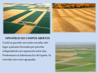 OPENFIELD OU CAMPOS ABERTOS
Candoas parcelasnonestáncercadas,dan
lugar apaisaxesformadas porparcelas
independentessenseparaciónentre elas.
PredominannaSubmesetaSurdeEspaña.As
vivendassoenestaragrupadas.
 