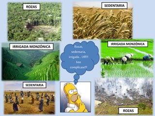 ROZAS
ROZAS
IRRIGADA MONZÓNICA
IRRIGADA MONZÓNICA
SEDENTARIA
SEDENTARIA
Rozas,
sedentaria,
irrigada…Uff!!!
Isto
complícase!!!
 