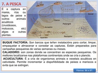 É a captura en
mares, ríos ou
lagos de peixe e
outros animais
acuáticos
(crustáceos,
moluscos, etc)
algas e outras
plantas.
BUQUE FACTORÍA: Son barcos que teñen instalacións para cortar, limpar,
empaquetar e almacenar e conxelar as capturas. Están preparados para
campañas pesqueiras de varias semanas ou meses.
CALADOIRO: son zonas donde se concentran as especies pesqueiras. Os
mellores localízanse nas plataformas continentais onde se cría o plancto.
ACUICULTURA: É a cría de organismos animais e vexetais acuáticos en
catividade. Permite incrementar a dispoñibilidade de peixes e mariscos e
evita que se extingan.
Páxinas 86 e 87.
 