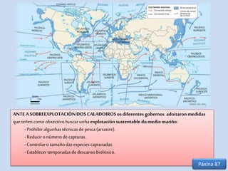 ANTEA SOBREEXPLOTACIÓNDOSCALADOIROSos diferentes gobernos adoitaronmedidas
que teñencomoobxectivobuscarunhaexplotaciónsustentable do medio mariño:
- Prohibiralgunhastécnicas depesca(arrastre).
- Reducironúmerodecapturas.
- Controlaro tamañodasespecies capturadas.
- Establecertemporadasdedescansobiolóxico.
Páxina 87
 