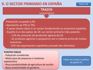 TRAZOS
(características)
-Poboación ocupada 4,2%
-Aportación ao PIB (2,7%)
- A pesar destes datos é un sector fundamental na economía española.
- España é un dos países da UE cun sector primario máis potente:
- 11% do conxunto da produción agraria da UE
- Os produtos agrarios e pesqueiros son a materia prima de moitas
industrias.
-15% das exportacións españolas procede dos alimentos.
PUNTOS FEBLES
- Poboación envellecida
- Moito peso de pequenas e medianas
explotacións
- Pouca produtividade da agricultura de secaño.
- Baixa produtividade da gandaría.
Páxina 90
Fíxate nos mapas e gráficas
da páxina 91.
 
