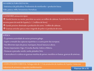 NA AGRICULTURADESTACAN:
- Intensivae de policultivo. Predominiodominifundio= produciónbaixa.
Vide, pataca,millo, forraxeirasehortalizas.
A GANDARIAamosatrestipos:
 Gandobovinoou vacún:paraleite oucarne:unmillon decabezas.A produciónlactearepresentaa
terceirapartedototaldeEspaña(+/- 2 millóns delitros)
 Gandoprocino:destinadoaproduciónde carne.1 millón de cabezas.
 Granxasavícolas:paraa críase engordedepoloseá producónde ovos.
A PESCA
- Éa primeiraactividadedosector primariogalego.
- Supóna metadedascapturasespañolasea cuartapartedaseuropeas.
- Hai diferentes tiposdepesca:marisqueo,litoral,baixuraealtura.
- Portosimportantes:Vigo,A Coruña,Burela,Celeiroe Ribeira.
- Destacanapescada,xurelo,xarda,pintadae lirio.
- A acuiculturaéo cultivo en granxasmariñasde peixes:mexilónsen bateas,granxasdeameixas…
A EXPLOTACIÓNFORESTAL:Achega máis de1/3 daproducióndemadeiradeEspaña.Contacon
industriasdeprimeiraesegundatransformación.
Páxinas 94 e 95
 