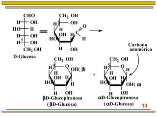 13
D-Glucosa
β-D-Glucopiranosa
( β-D-Glucosa)
C
H OH
H
HO
H
OH
H
CH2 OH
OH
OH( α)
H OH
H
HO
H
H
OH
H
CH2 OH
O
O
H
H
H OH
H
HO
H
OH( β)
OH
H
CH2 OH
O
α-D-Glucopiranosa
( α-D-Glucosa)
+
Carbono
anomérico
5
5 5
5
CHO
CH2 OH
OHH
HHO
OHH
OHH
 