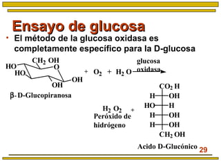 29
Ensayo de glucosaEnsayo de glucosa
• El método de la glucosa oxidasa es
completamente específico para la D-glucosa
+
+
glucosa
oxidasa
Acido D-Glucónico
β- D-Glucopiranosa
OH
OH
HO
HO
CH2 OH
O
H2 O2
O2 + H2 O
CO2 H
CH2 OH
OHH
HHO
OHH
OHH
Peróxido de
hidrógeno
 