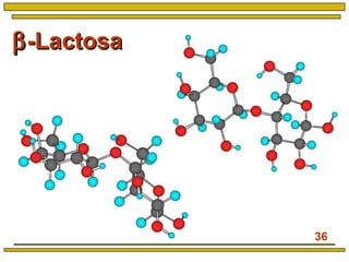 36
ββ-Lactosa-Lactosa
 