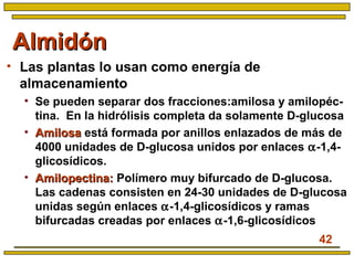 42
AlmidónAlmidón
• Las plantas lo usan como energía de
almacenamiento
• Se pueden separar dos fracciones:amilosa y amilopéc-
tina. En la hidrólisis completa da solamente D-glucosa
• AmilosaAmilosa está formada por anillos enlazados de más de
4000 unidades de D-glucosa unidos por enlaces α-1,4-
glicosídicos.
• Amilopectina:Amilopectina: Polímero muy bifurcado de D-glucosa.
Las cadenas consisten en 24-30 unidades de D-glucosa
unidas según enlaces α-1,4-glicosídicos y ramas
bifurcadas creadas por enlaces α-1,6-glicosídicos
 