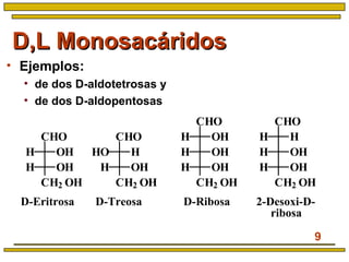 9
• Ejemplos:
• de dos D-aldotetrosas y
• de dos D-aldopentosas
D,L MonosacáridosD,L Monosacáridos
D-Eritrosa D-Treosa D-Ribosa 2-Desoxi-D-
ribosa
CHO
CH2 OH
OHH
OHH
CHO
CH2 OH
HHO
OHH
CHO
CH2 OH
OHH
OHH
OHH
CHO
CH2 OH
HH
OHH
OHH
 