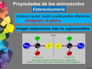 Carbono quiral: cuatro sustituyentes diferentes
Excepción: la glicina
Imagen especulares mas no superponibles
Propiedades de los aminoácidos
Estereoisomería
 
