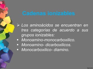Cadenas ionizables
 Los aminoácidos se encuentran en
tres categorías de acuerdo a sus
grupos ionizables:
 Monoamino-monocarboxilico.
 Monoamino- dicarboxilicos.
 Monocarboxilico- diamino.
 