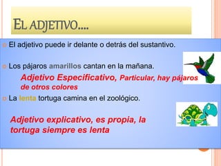 EL ADJETIVO….
 El adjetivo puede ir delante o detrás del sustantivo.
 Los pájaros amarillos cantan en la mañana.
 La lenta tortuga camina en el zoológico.
Adjetivo Especificativo, Particular, hay pájaros
de otros colores
Adjetivo explicativo, es propia, la
tortuga siempre es lenta
 
