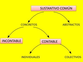 SUSTANTIVO COMÚN
CONTABLEINCONTABLE
 