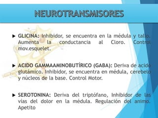 Tema 3. sinapsis. prof agni garcia