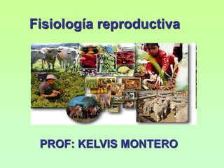Fisiología reproductiva
PROF: KELVIS MONTERO
 