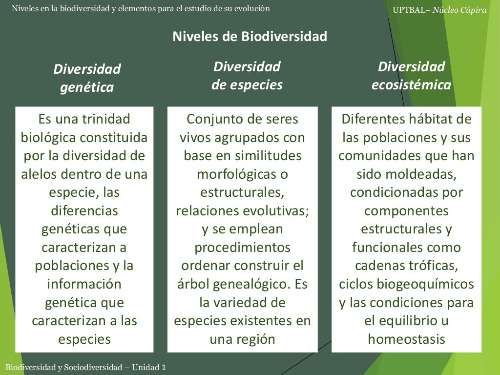 Tema 3 Niveles Biodiversidad