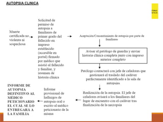 Autopsia médico-legal.pdf