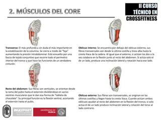 Transverso: El más profundo y sin duda el más importante en
la estabilización de la columna. Se cierra a modo de “faja”
aumentando la presión intrabdominal. Está envuelto por una
fascia de tejido conjuntivo que recorre todo el perímetro
interior del tronco y que hace las funciones de un verdadero
cinturón.
Oblícuo interno: Se encuentra por debajo del oblicuo externo, sus
fibras transversales van desde la última costilla y línea alba hasta la
cresta ilíaca de la cadera. Al igual que el externo, si actúan los dos a la
vez colabora en la flexión junto al recto del abdomen. Si actúa solo el
de un lado, produce una inclinación lateral y rotación hacia ese lado.
Oblícuo externo: Sus fibras son transversales, se originan en las
últimas costillas y llegan hasta la cresta ilíaca. Cuando actúan ambos
oblicuos ayudan al recto del abdomen en la flexión del tronco, si solo
actúa el de un lado produce inclinación lateral y rotación del torso al
lado contrario.
Recto del abdomen: Sus fibras son verticales, se orientan desde
la rama del púbis hasta el esternón dividiéndose en varios
vientres musculares que le dan esa forma de “tableta de
chocolate”. Su principal función es la flexión ventral, acortando
el esternón hasta el pubis.
 