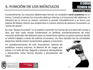 Funcionalmente, los músculos abdominales forman un verdadero corsé anatómico en el
tronco. Cuando se activan los músculos oblicuos internos y el transverso del abdomen, el
diámetro de la cintura se reduce, aumenta la presión intraabdominal y se forma una
especie de bloque interior que proporciona a nuestro sistema de palancas musculares un
“punto de apoyo”.
Sin este “bloque funcional” no se podrían transmitir las fuerzas de una parte del cuerpo a
otra, por esta razón resulta fundamental un perfecto acondicionamiento de estos
músculos profundos del abdomen para un rendimiento óptimo en gestos motrices donde
se solicite trabajos a través de cadenas musculares. Un claro ejemplo son las actividades
deportivas donde existen lanzamientos, golpeos y tracciones.
Un acondicionamiento de esta musculatura, además de
estabilizar nuestra columna, la liberará de las cargas que
actúan a lo larfo del día, llegando a provocar desequilibrios
y alteraciones como hernias discales y desviaciones del
raquis.
 