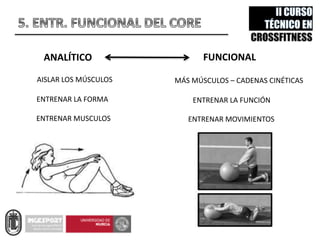 ANALÍTICO FUNCIONAL
ENTRENAR LA FORMA ENTRENAR LA FUNCIÓN
ENTRENAR MUSCULOS ENTRENAR MOVIMIENTOS
AISLAR LOS MÚSCULOS MÁS MÚSCULOS – CADENAS CINÉTICAS
 