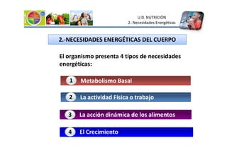 2.-NECESIDADES ENERGÉTICAS DEL CUERPO
Metabolismo Basal
1
U.D. NUTRICIÓN
2.-Necesidades Energéticas
El organismo presenta 4 tipos de necesidades
energéticas:
Metabolismo Basal
1
La actividad Física o trabajo
2
La acción dinámica de los alimentos
3
El Crecimiento
4
 