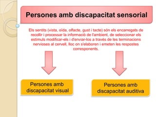 Persones ambdiscapacitat sensorial Elssentits (vista, oïda, olfacte, gust i tacte) sónelsencarregats de recollir i processar la informació de l'ambient, de seleccionar elsestimulsmodificar-els i d'enviar-los a través de les terminacionsnervioses al cervell, llocons'elaboren i emeten les respostescorresponents. Persones amb discapacitat visual Persones ambdiscapacitat auditiva 