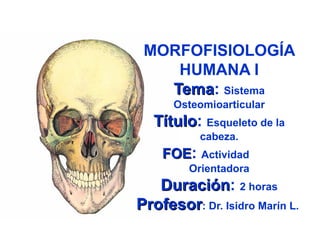 MORFOFISIOLOGÍA
    HUMANA I
   Tema: Sistema
   Tema
      Osteomioarticular
   Título: Esqueleto de la
   Título
           cabeza.
    FOE:   Actividad
         Orientadora
   Duración: 2 horas
   Duración
Profesor: Dr. Isidro Marín L.
 